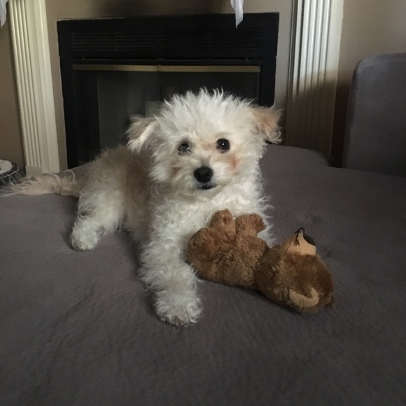 Meet your Posher, Carla - Picture 3 of 3